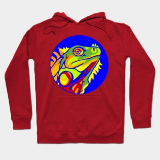 Magic Color Iguana - Dragon Lizard Hoodie